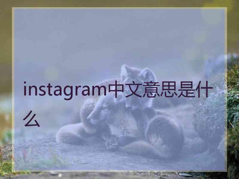 instagram中文意思是什么
