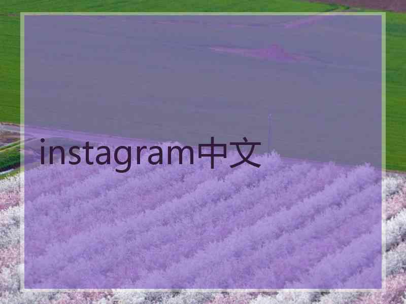instagram中文