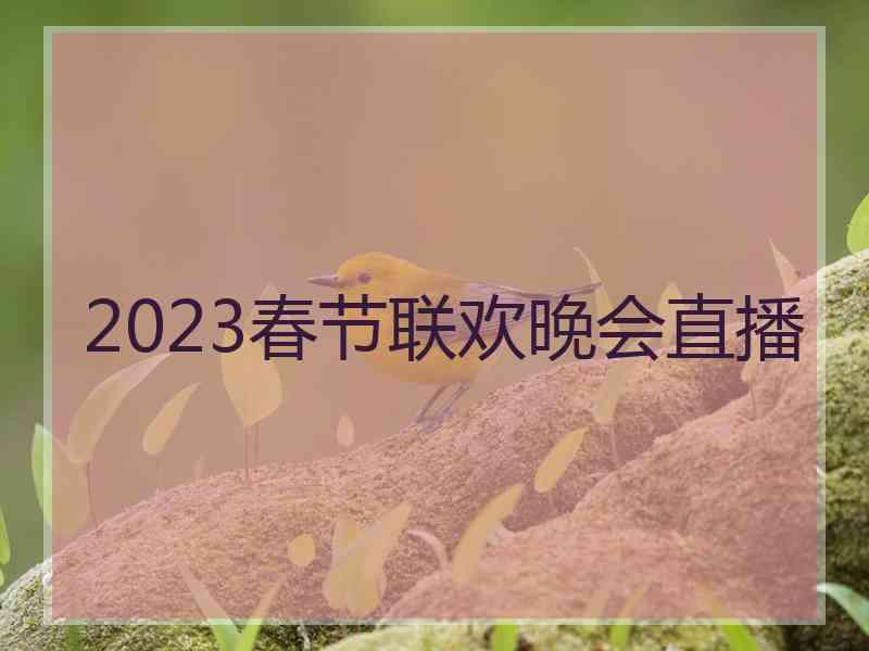 2023春节联欢晚会直播