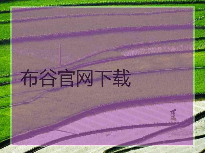 布谷官网下载