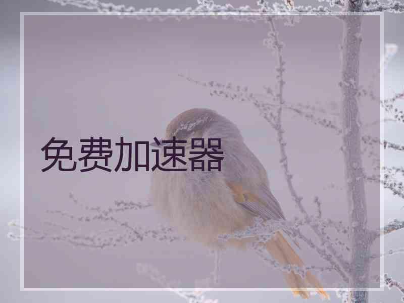 免费加速器