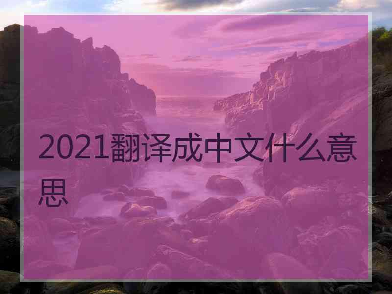 2021翻译成中文什么意思
