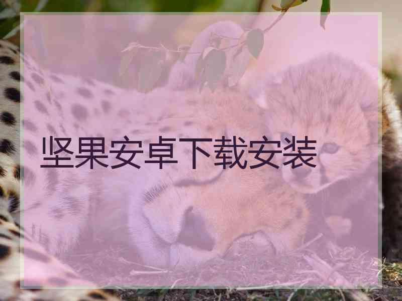 坚果安卓下载安装