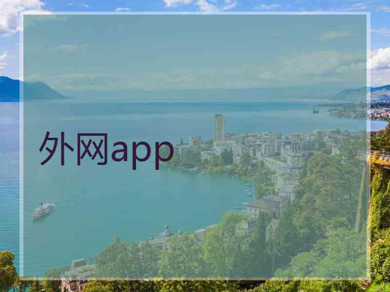 外网app
