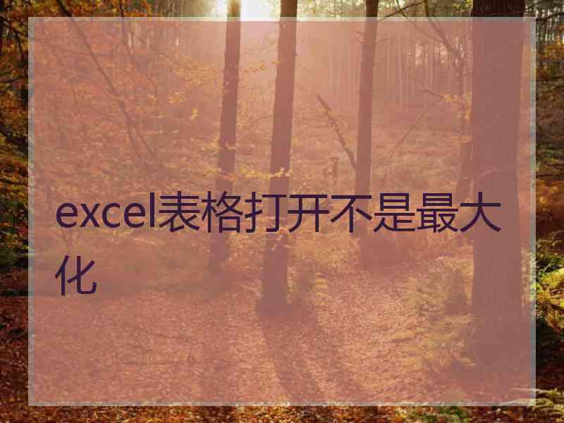 excel表格打开不是最大化