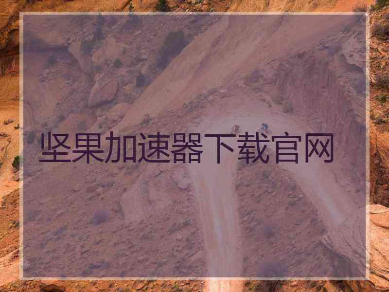 坚果加速器下载官网