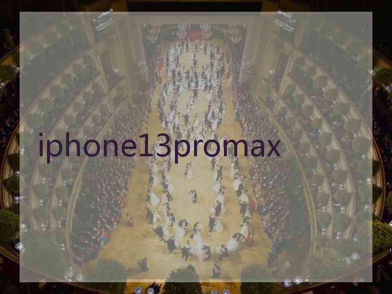 iphone13promax