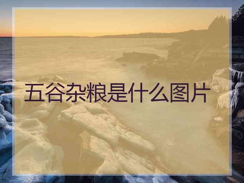 五谷杂粮是什么图片