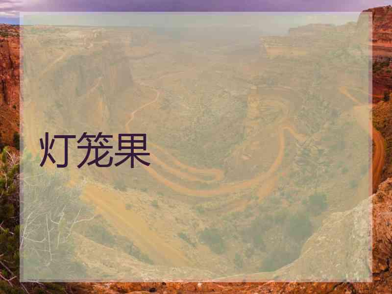灯笼果
