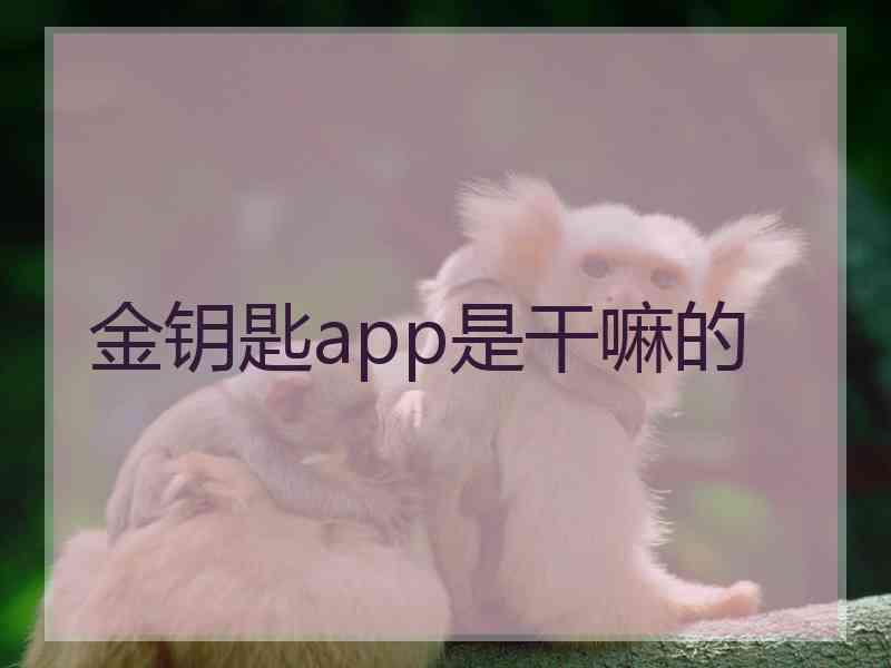 金钥匙app是干嘛的