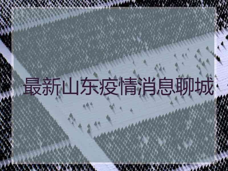 最新山东疫情消息聊城