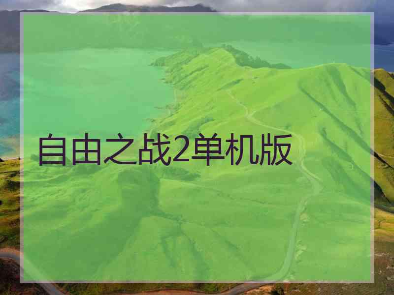 自由之战2单机版