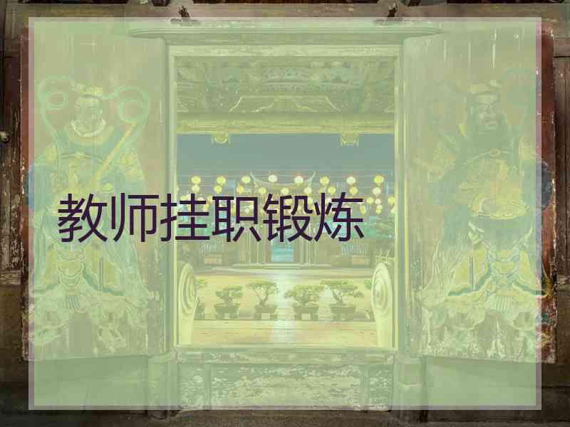 教师挂职锻炼