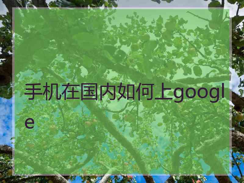 手机在国内如何上google