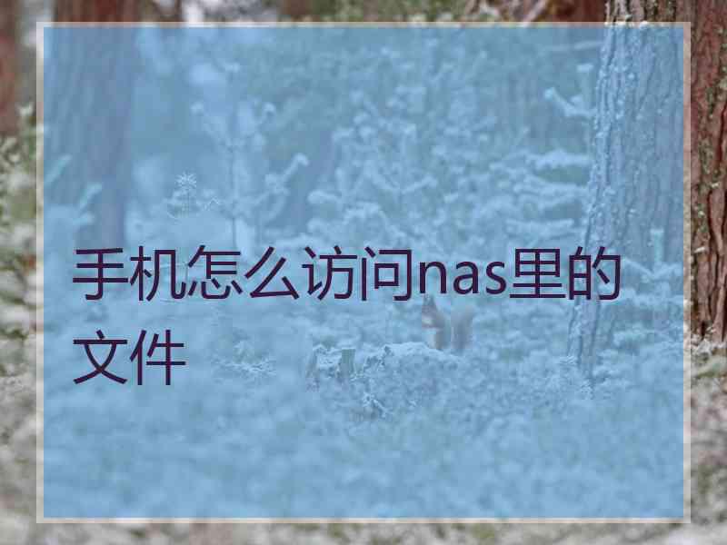 手机怎么访问nas里的文件