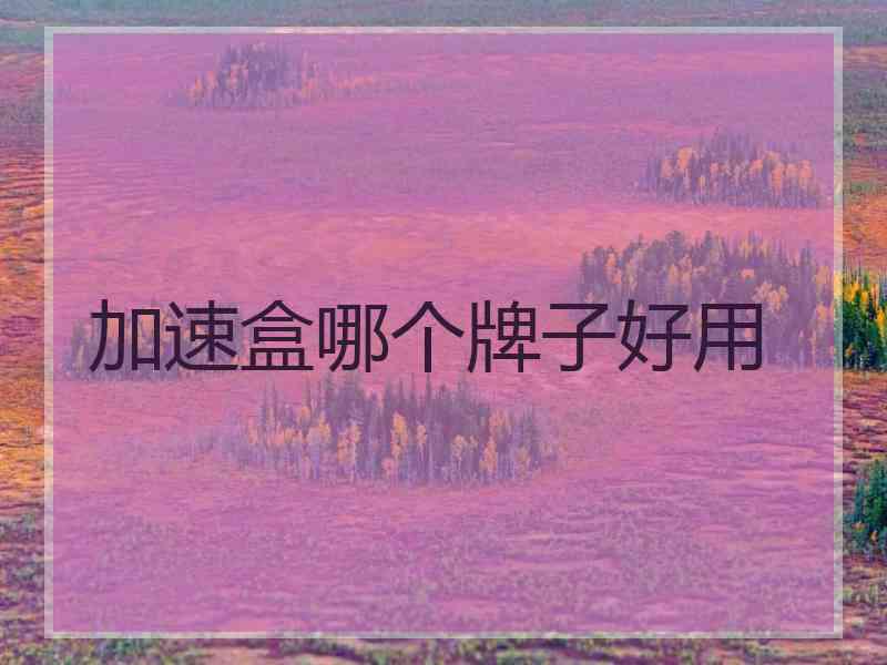 加速盒哪个牌子好用