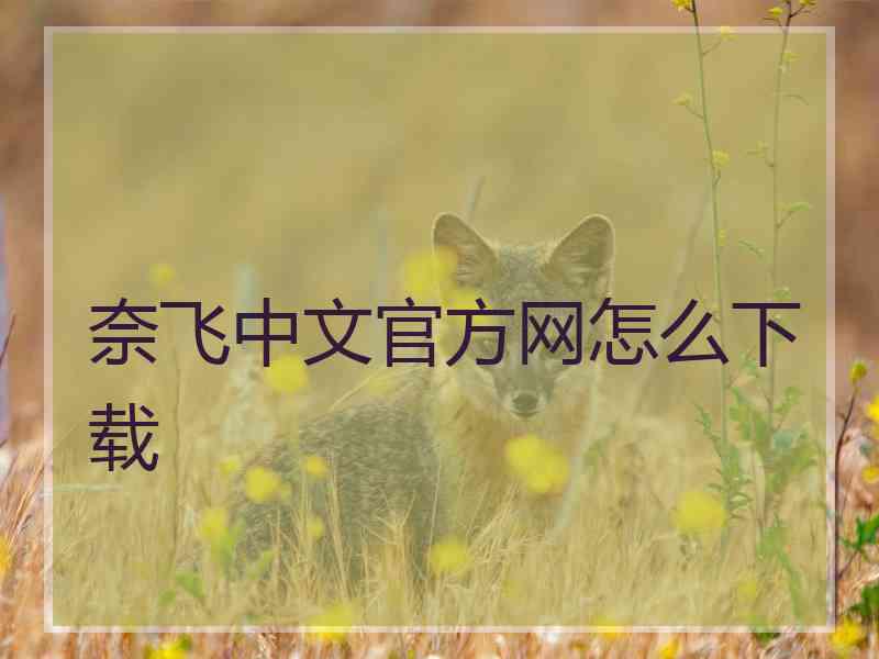 奈飞中文官方网怎么下载