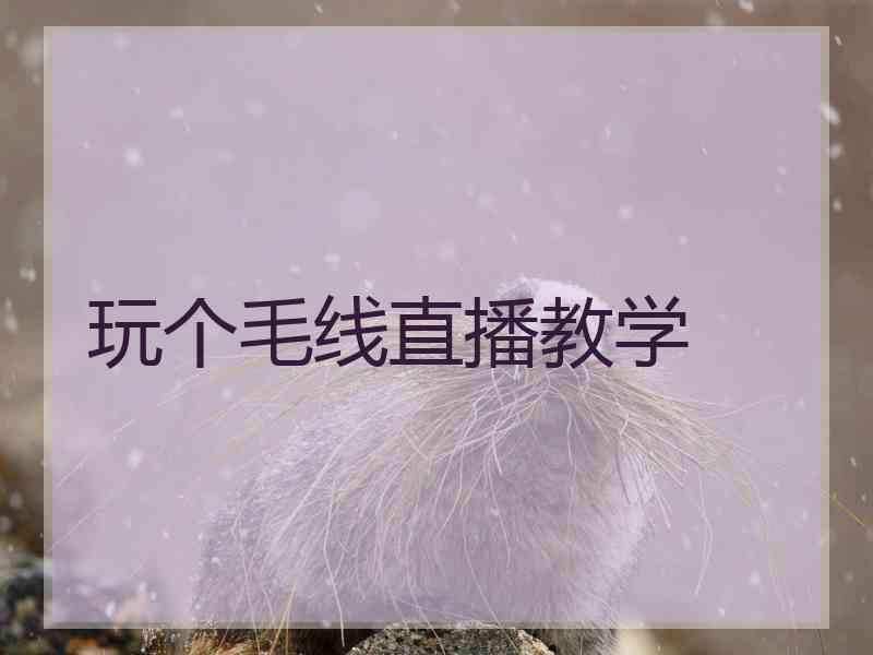 玩个毛线直播教学