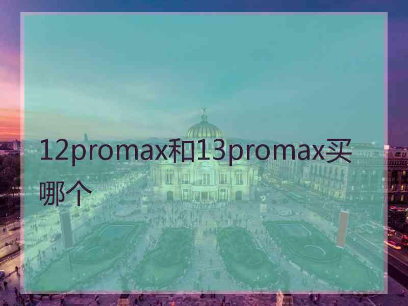 12promax和13promax买哪个