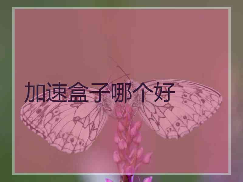 加速盒子哪个好
