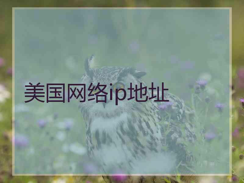 美国网络ip地址