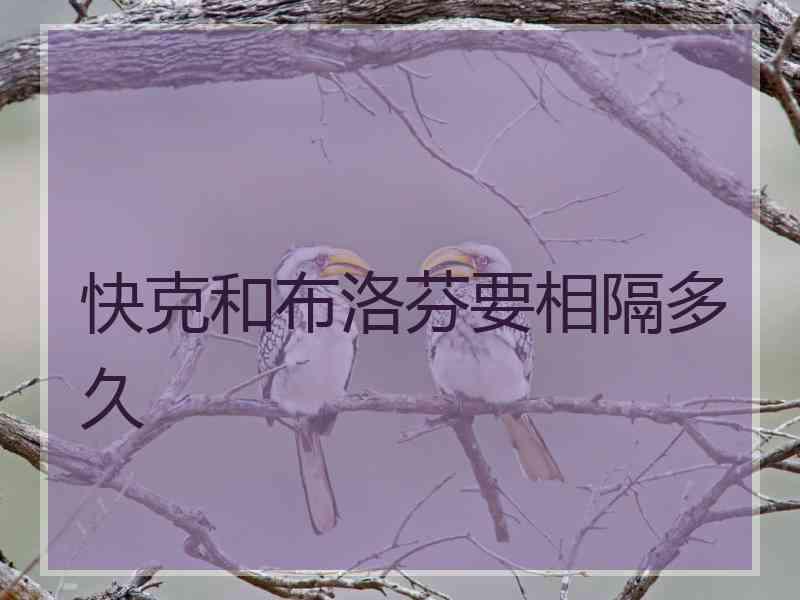 快克和布洛芬要相隔多久