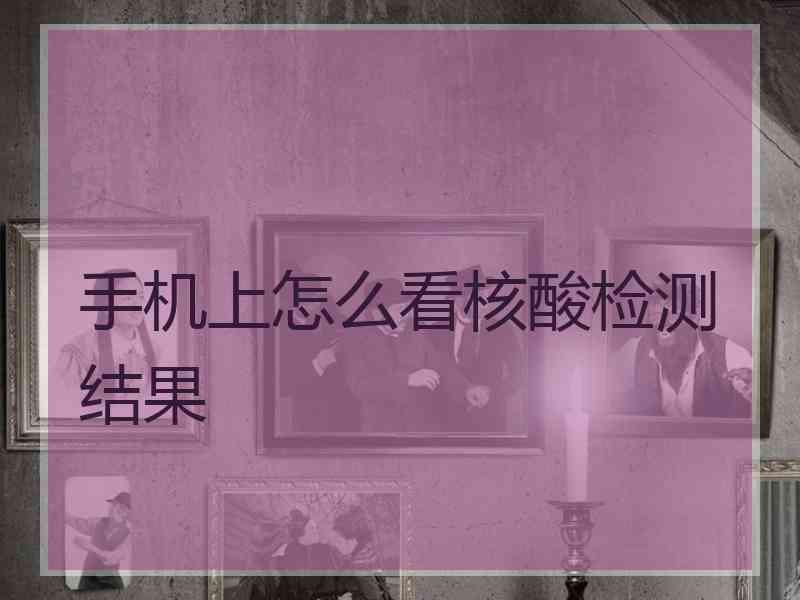手机上怎么看核酸检测结果