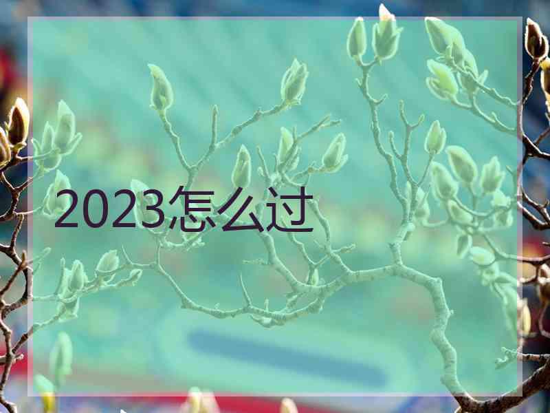 2023怎么过