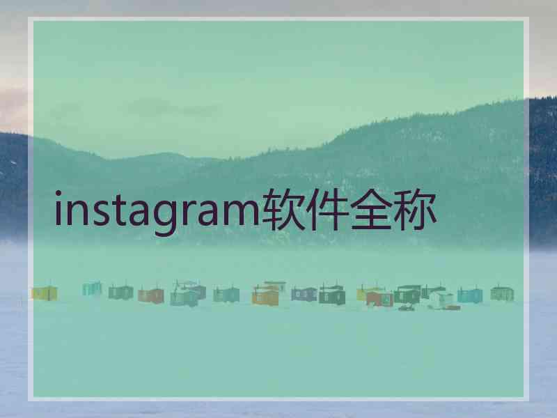 instagram软件全称
