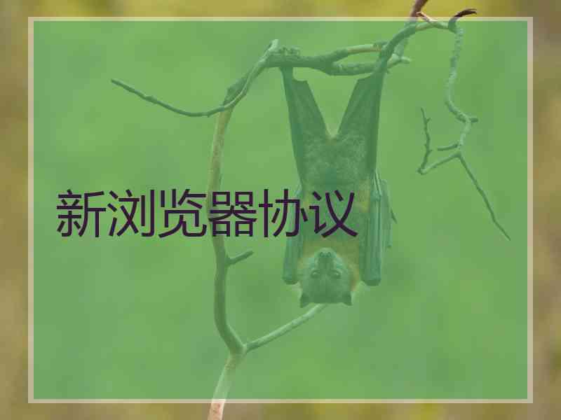 新浏览器协议