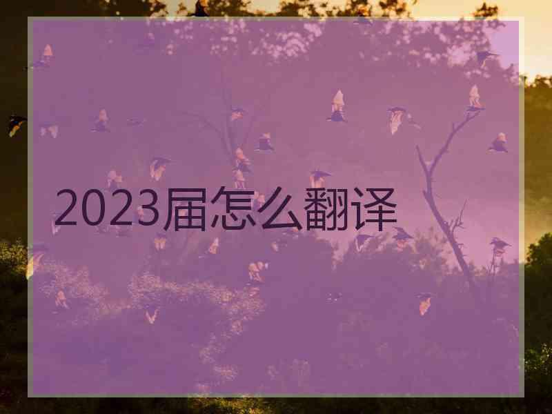 2023届怎么翻译