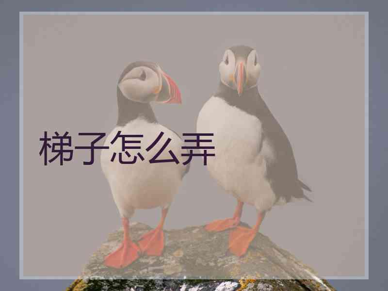 梯子怎么弄