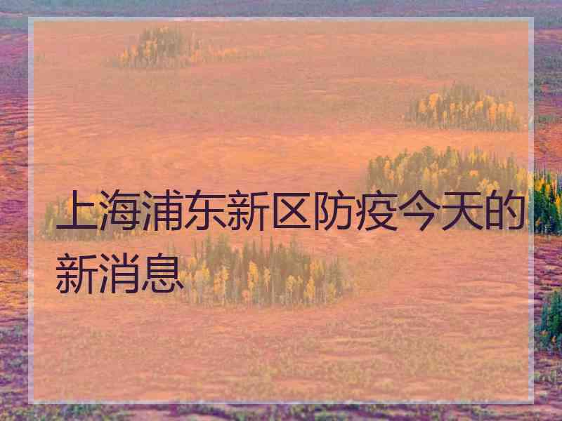 上海浦东新区防疫今天的新消息