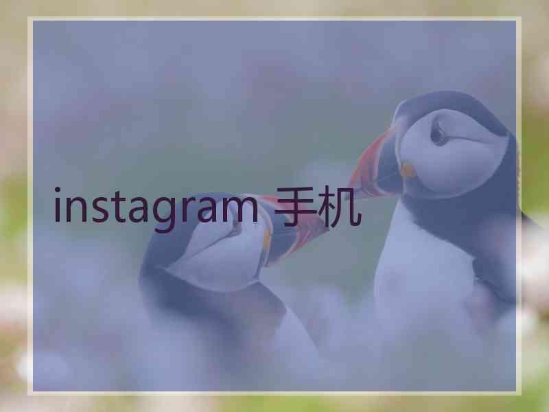 instagram 手机