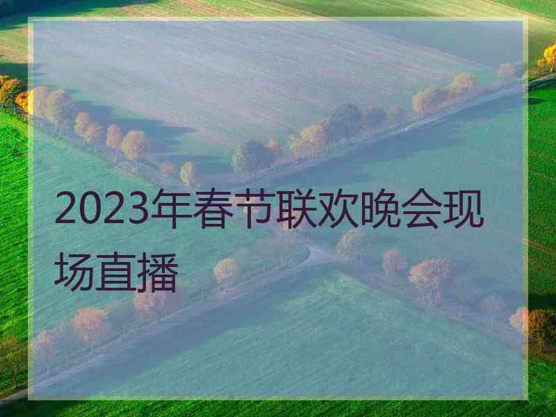 2023年春节联欢晚会现场直播