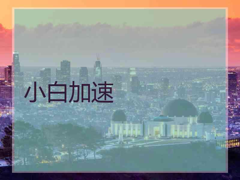 小白加速