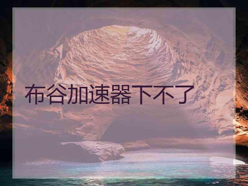 布谷加速器下不了