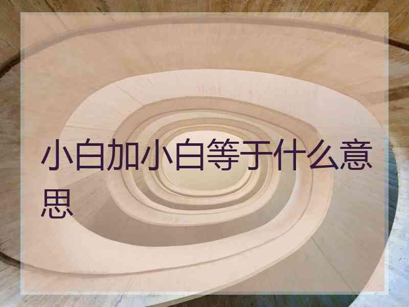 小白加小白等于什么意思