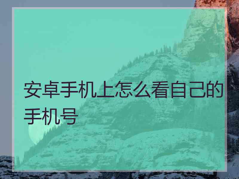 安卓手机上怎么看自己的手机号