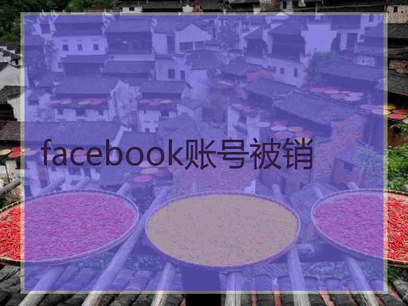 facebook账号被销