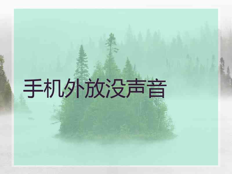 手机外放没声音