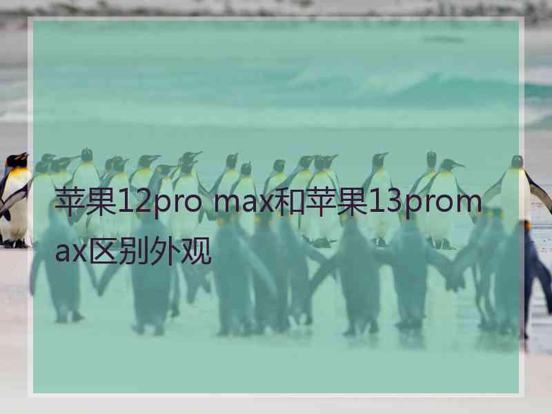 苹果12pro max和苹果13promax区别外观