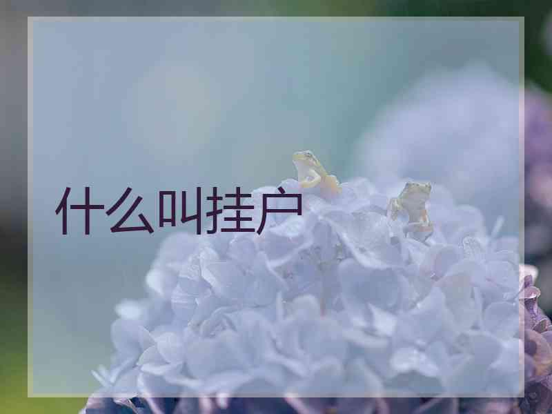 什么叫挂户