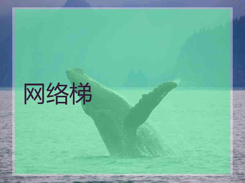 网络梯