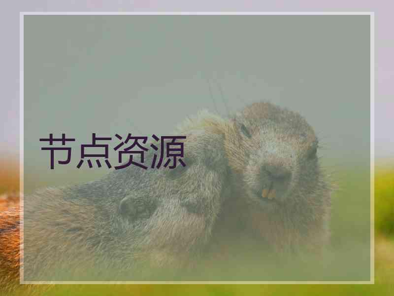 节点资源