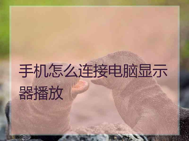 手机怎么连接电脑显示器播放