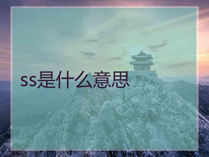 ss是什么意思