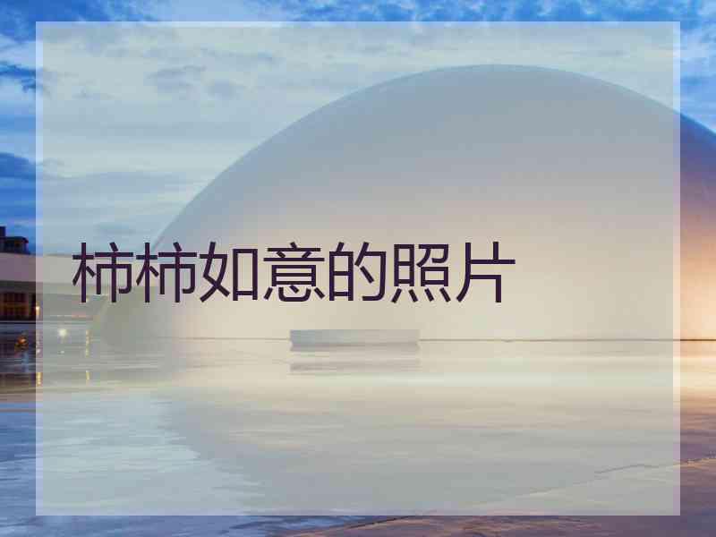柿柿如意的照片