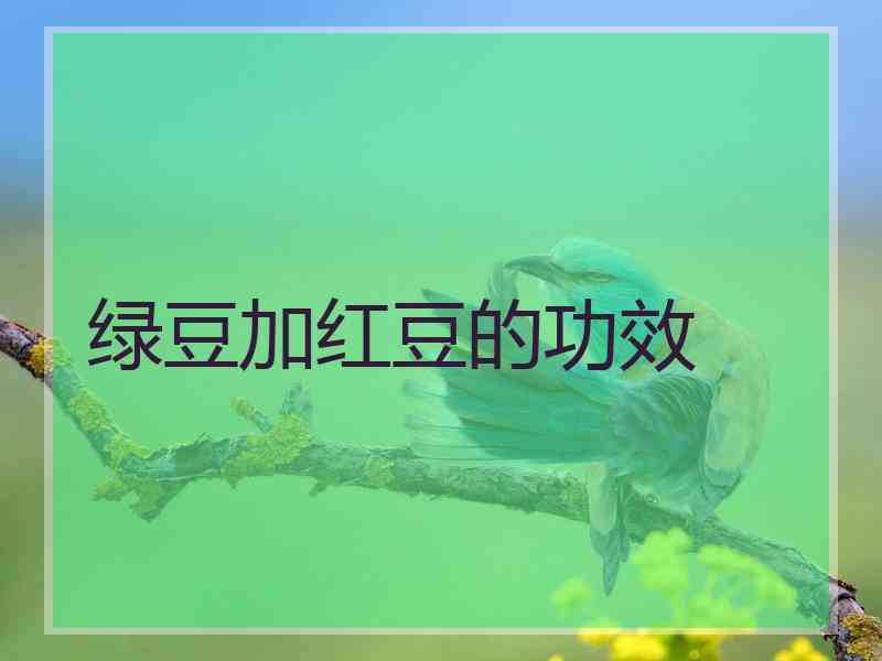 绿豆加红豆的功效