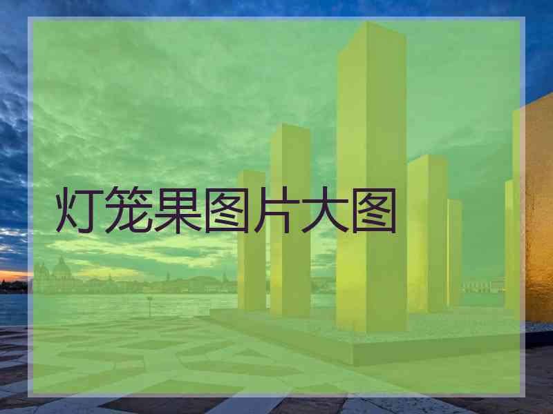 灯笼果图片大图